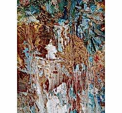 Увеличенный фрагмент картины "Межсезонье"